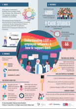 Understanding LGBT+ employee networks and how to support them: Executive Summary